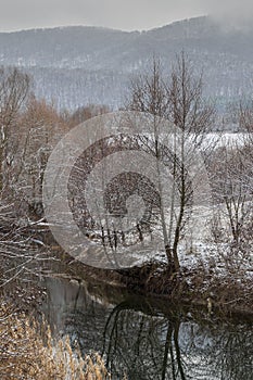 Kamchia River in winter