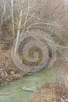 Kamchia River in winter