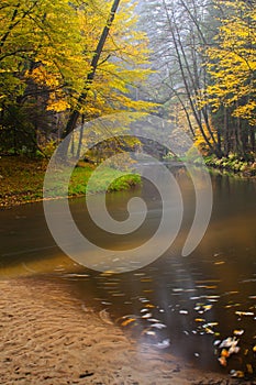 Kamenice river with motion trajectories during autumn