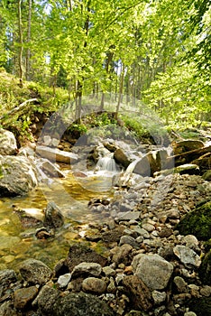 Kamienczyk region waterfalls