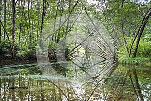 Kamikochi