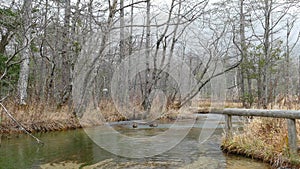 Kamikochi, Nagano Prefecture, Japan