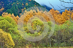 Kamikochi National Park in the Northern Japan Alps of Nagano Prefecture, Japan. Beautiful mountain in autumn leaf and Azusa river