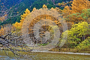 Kamikochi National Park in the Northern Japan Alps of Nagano Prefecture, Japan. Beautiful mountain in autumn leaf and Azusa river