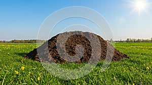 Molehill in a Meadow