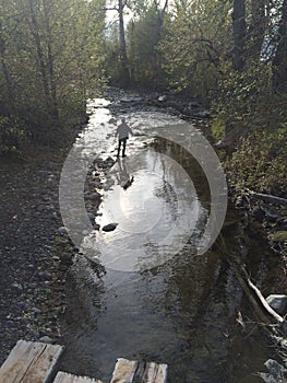 Kamloops city back woods stream hike