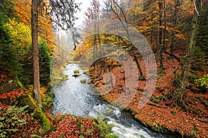 Kamnitz Gorge in Saxon switzerland national park