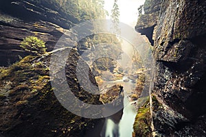 Kamnitz Gorge in Saxon switzerland national park