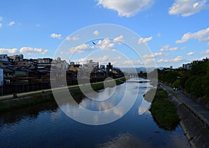 Kamo river under blue sky and white clouds