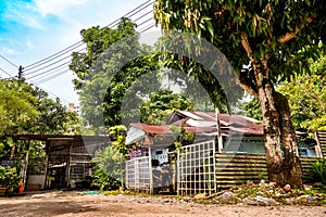 Kampong Lorong Buangkok, last surviving kampong, is a village located in Buangkok in Hougang, Singapore.