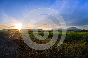 Kampung Sangkir, Kota Kelud, Kota-Kinabalu, Sabah, Malaysia Paddy Field Sunrise Hour