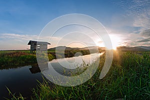 Kampung Sangkir, Kota Kelud, Kota-Kinabalu, Sabah, Malaysia Paddy Field Sunrise Hour