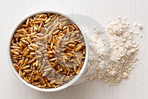 Kamut wheat kernels