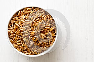 Kamut wheat kernels