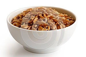 Kamut wheat kernels