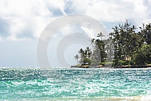 Kanaha Beach Park in Maui, Hawaii