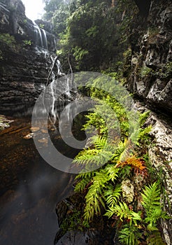 Kanangra boyd waterfalls in Blue mountains national park area