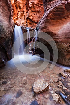 Kanarra creek slot canyon in Zion national park, Utah