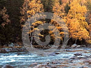 Kanas Lake in Autumn