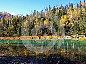 Kanas Lake in Autumn