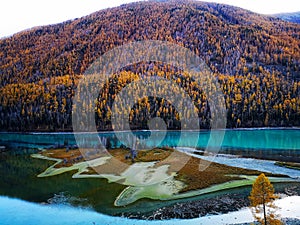 Kanas Lake in Autumn