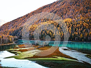 Kanas Lake in Autumn