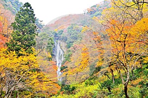 Kanba waterfall and autumn colors in Okayama