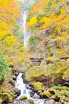 Kanba waterfall and wooden bridge during autumn in Okayama