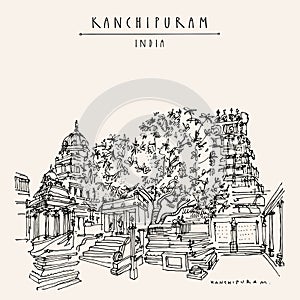 Kanchipuram Kanchi, Tamil Nadu, South India. Ekambeshwarar Ekambaranatha Temple. 3500-year old mango tree. Travel sketch