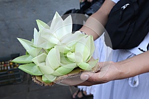 Kandy, Sri Lanka Lotus flower in tourist`s hand at Sri Dalada Maligawa or the Temple of the Sacred Tooth Relic is a Buddhist