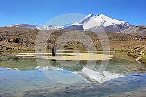 Kang Yatse I and II summits 6496m and 6250m along Markha valley trek, Ladakh, India