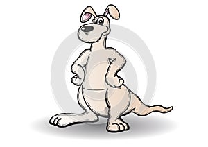 Kangaroo