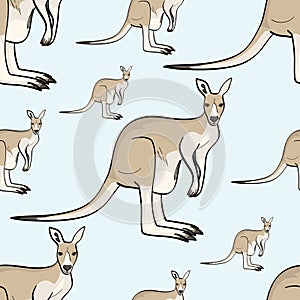 Kangaroo animal is a canada seamless pattern. Vector background.
