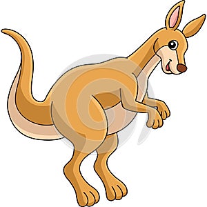 Kangaroo Animal Colored Cartoon Illustration