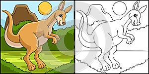Kangaroo Animal Coloring Page Colored Illustration