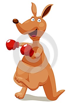 Kangaroo boxing cartoon