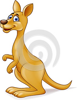 Kangaroo cartoon