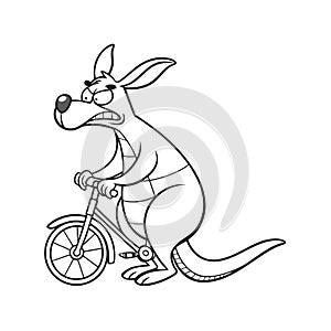 Kangaroo on a Challenging Cycling Path