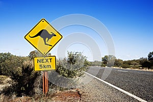 Kangaroo crossing Australia