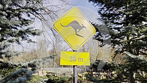 Kangaroo crossing sign in 80m in desert. Kangaroo traffic warning yellow sign. Watch out for Kangaroos wildlife signage