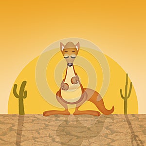 Kangaroo in the desert