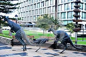 Kangaroo family statue at garden in Perth, Australia