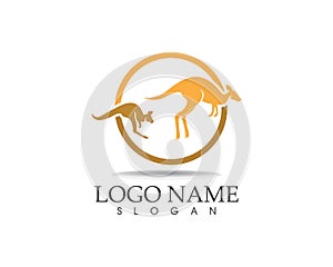Kangaroo icon logo design vector illustration