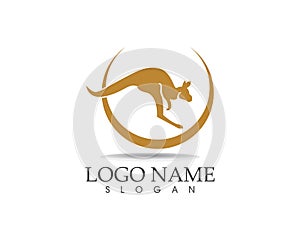 Kangaroo icon logo design vector illustration