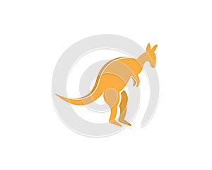 Kangaroo icon logo design vector illustration