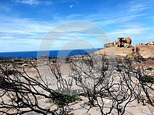 Kangaroo Island Remarkable Rocks after bushfires