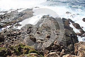 Kangaroo Island rocky coastline photo