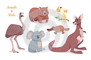 Kangaroo, koala, wombat, emu, cockatoo, platypus, isolated on transparent background. Australian animals vector set