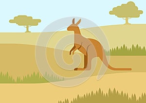 Kangaroo in the natural habitat flat cartoon vector wild animal photo