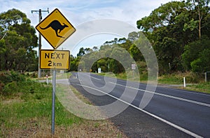 Kangaroo next 2 km sign on street in Australia